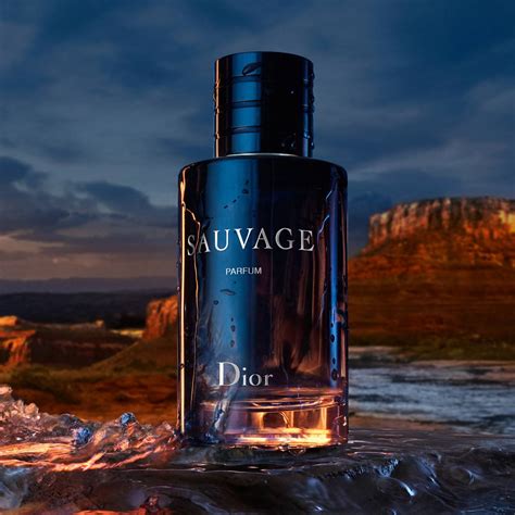 dior sauvage parfumwinkel|dior sauvage perfume boots.